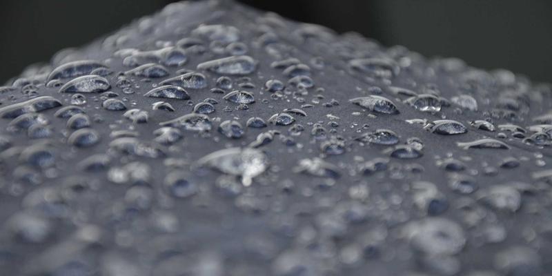 深海寻宝：青岛海洋微生物基因库如何从黄海沉积物中挖掘下一代健康管理新药