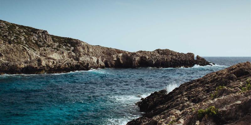 解码爱宠健康未来：青岛基因科技如何重塑宠物健康管理新范式