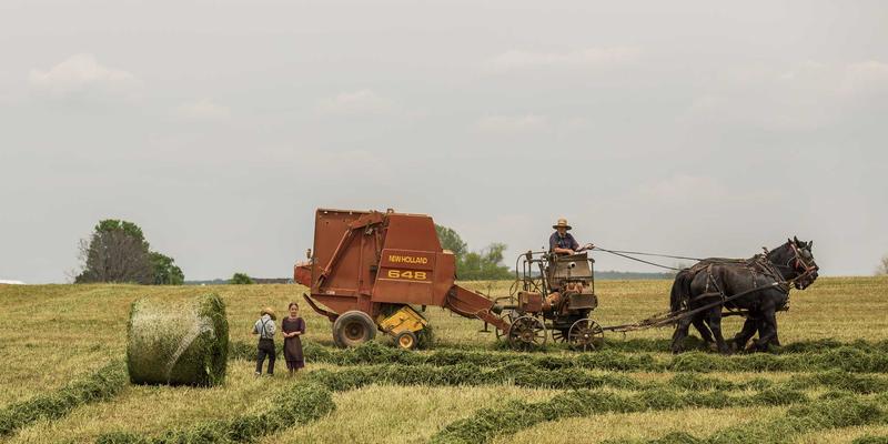 青岛基因科技：从CAR-T工艺优化到通用型细胞研发，如何重塑细胞治疗产业新生态？