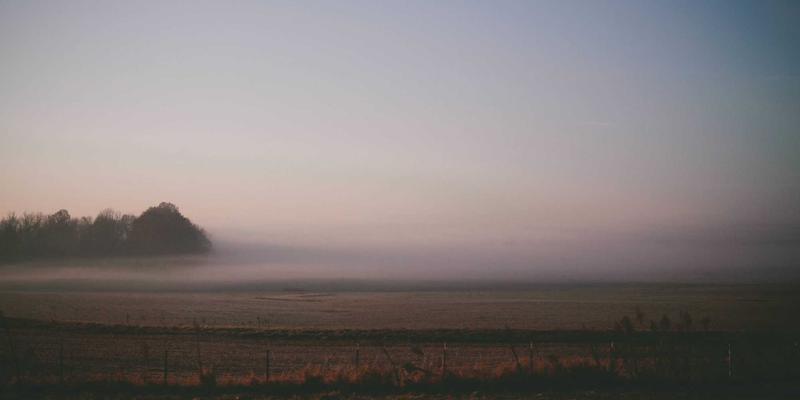 青岛基因科技：解码环境DNA，重塑海洋生态健康管理新范式